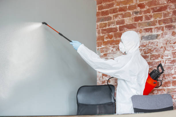 Best Emergency Mold Remediation  in Pontiac, IL