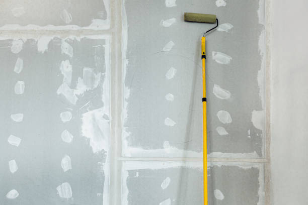 Environmental Consulting for Mold Prevention in Pontiac, IL