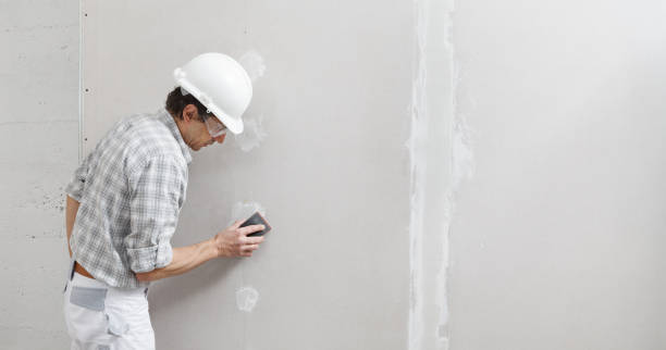 Best Attic Mold Removal  in Pontiac, IL