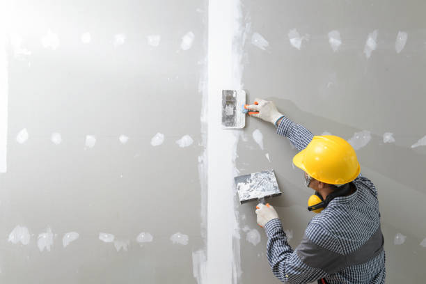 Mold Remediation for Rental Properties in Pontiac, IL