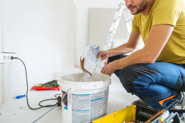 Best Black Mold Removal  in Pontiac, IL