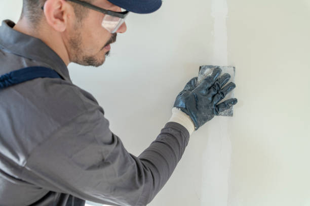 Best Post-Remediation Verification Testing  in Pontiac, IL