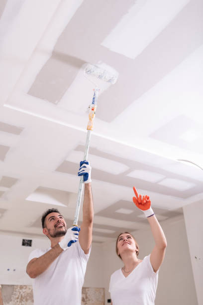 Reliable Pontiac, IL Mold Removal Solutions