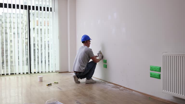 Best Black Mold Removal  in Pontiac, IL