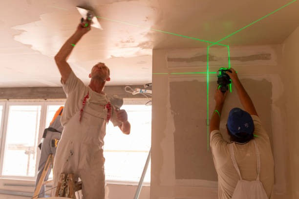 Best Air Quality Testing for Mold Spores  in Pontiac, IL