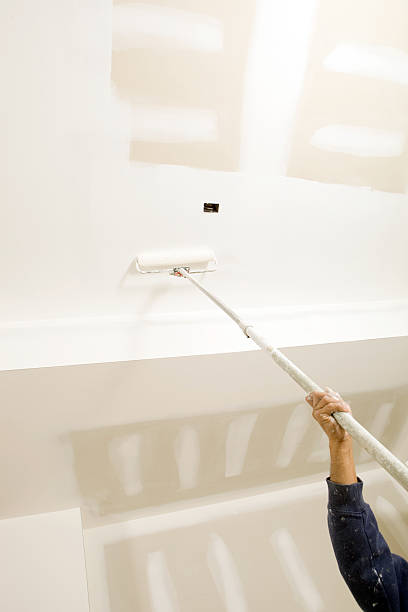 Best Comprehensive Air Testing for Mold Contaminants  in Pontiac, IL