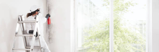 Best Mold Remediation for Rental Properties  in Pontiac, IL