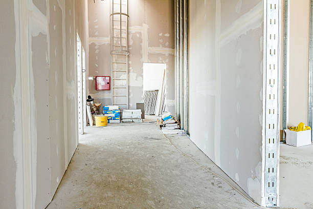 Best Post-Construction Mold Inspection  in Pontiac, IL