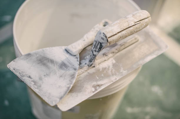 Best Airborne Mold Testing  in Pontiac, IL